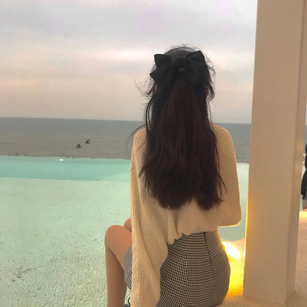 我的朋友小海豚